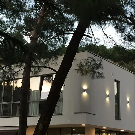 Guest house & Preelook Opatija